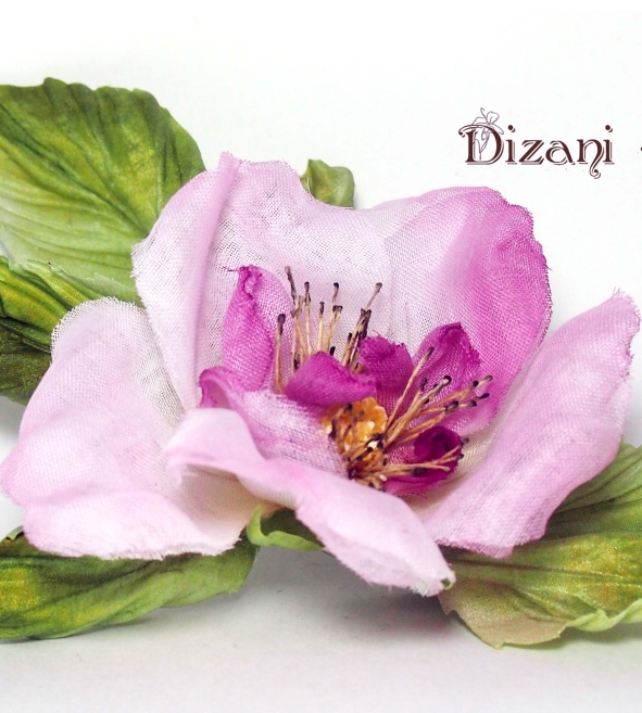 Flower of wild rose