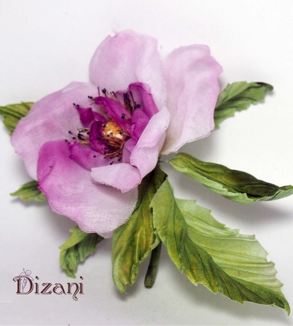 Flower of wild rose