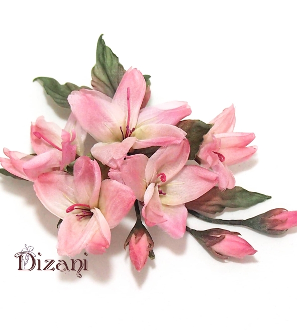 Alstroemeria hairpin
