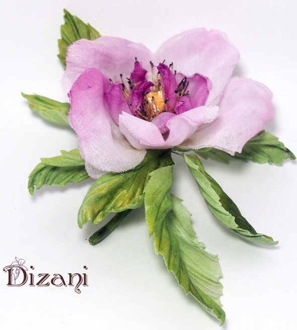 Flower of wild rose